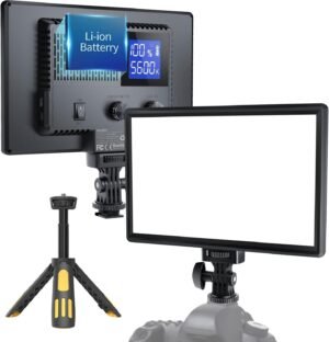 RALENO LED Video Light, Camera Light for Pictures Video Recording with 4000mAh Battery Support Type-C USB Power Supply, CRI>95 3200K-5600K Photo Lights for Outdoor Photography Live Streaming Zoom Call