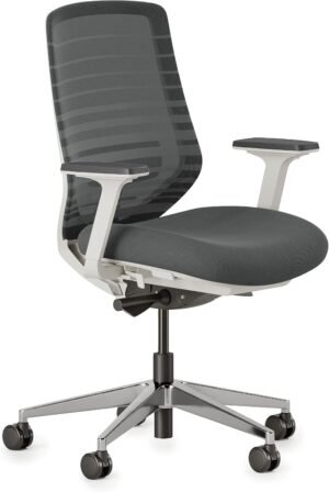 Branch Ergonomic Chair – A Versatile Desk Chair with Adjustable Lumbar Support, Breathable Mesh Backrest, and Smooth Wheels – Experience Optimal Comfort and Support – Graphite – White