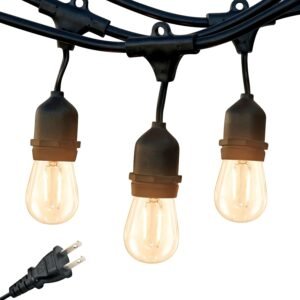 Brightech Ambience Pro – Waterproof LED Outdoor String Lights – 15 Hanging, Dimmable 2W Vintage Edison Bulbs – 48 Ft Commercial Grade Patio Lights Create Cafe Ambience in Your Backyard