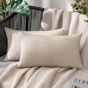 MIULEE Pack of 2 Decorative Outdoor Solid Waterproof Throw Pillow Covers Faux Linen Garden Farmhouse Cushion Cases for Patio Tent Balcony Couch Sofa 12×20 inch Beige