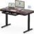FLEXISPOT Comhar Electric Standing Desk with Storage Drawer Desktop & Adjustable Frame w/USB Charge Ports, Home Office Sit Stand Computer Desk (Dark Walnut/Black, Wood)