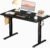 Standing Desk, Adjustable Height Electric Sit Stand Up Down Computer Table, 40×24 Inch Ergonomic Rising Modern Lift Motorized Gaming Desktop Workstation for Work Home Office, Black