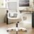 NEO CHAIR High Back Mesh Office Chair with Adjustable Height Ergonomic Design Executive Lumbar Support Padded Flip-up Armrests and Swivel Function for Home Office Gaming Computer Desk (Beige)
