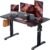 ErGear Height Adjustable Electric Standing Desk, 48 x 24 Inches Sit Stand up Desk, Memory Computer Home Office Desk with Two-Piece Desktop (Black)