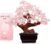 Parma77 Feng Shui Natural Rose Pink Quartz Crystal Money Tree, Healing Crystal Trees Bonsai Style Decoration for Wealth and Luck for Home Decor, Gifts for Women