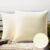 Phantoscope Pack of 2 Outdoor Waterproof Solid Throw Decorative Pillow Cover Decorative Square Outdoor Pillows Cushion Case Patio Pillows for Couch Tent Sunbrella (18”x18”, Cream Cheese)
