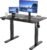 Electric Standing Desk Adjustable Height, 40×24 Inches Sit Stand up Desktop for Home Office, Ergonomic Rising Computer Table with Memory Preset, Black