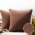 Phantoscope Pack of 2 Outdoor Waterproof Solid Throw Decorative Pillow Cover Decorative Square Outdoor Pillows Cushion Case Patio Pillows for Couch Tent Sunbrella (18”x18”, Brown)