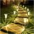 DenicMic Solar Lights Outdoor Pathway Lights 3000K LED Waterproof Acrylic Lamp Head Stainless Steel Stake for Yard Garden Landscape Path Walkway Driveway Patio Lawn (Warm White 10Pack)