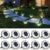 SOLPEX 10 Pack Solar Ground Lights Outdoor Waterproof, Solar Powered Pathway Lights, Landscape Lighting for Garden Walkway Driveway Backyard Decor (Cool White)