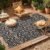 OLANLY Outdoor Rug Waterproof 5×8 ft Clearance, Reversible Outdoor Plastic Straw Rug with Floral Pattern, RV Mat for Patio, Camping, Balcony, Deck, Backyard, Black & Beige